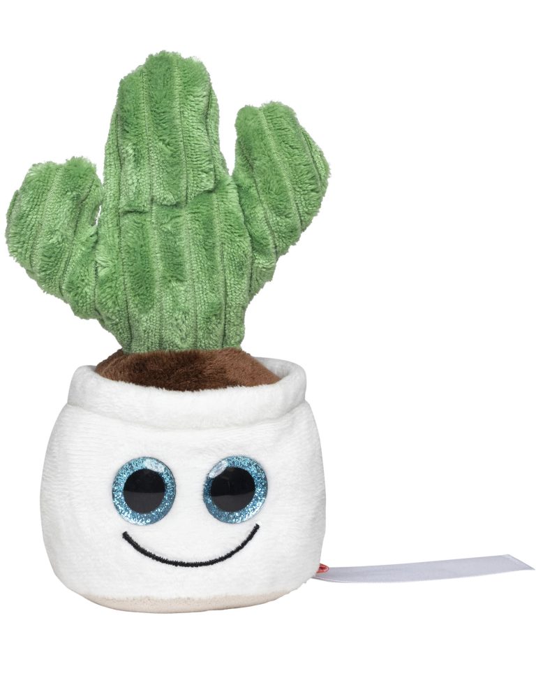 Kaktus Plüschcactus in einem Topf mit einem lächelnden Gesicht und großen blauen Augen.