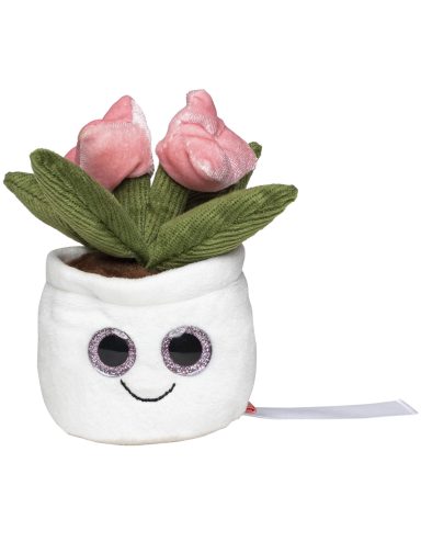 Kleine Pflanze mit rosa Blüten in einem weißen, lächelnden Topf.